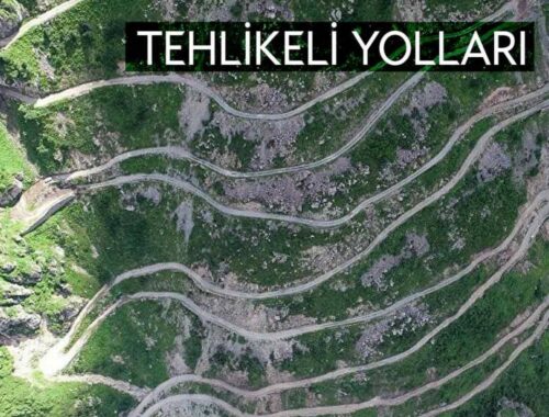 Türkiye’nin En Tehlikeli Yılanları: Uzman Rehberi [2026] - Kapak Görseli