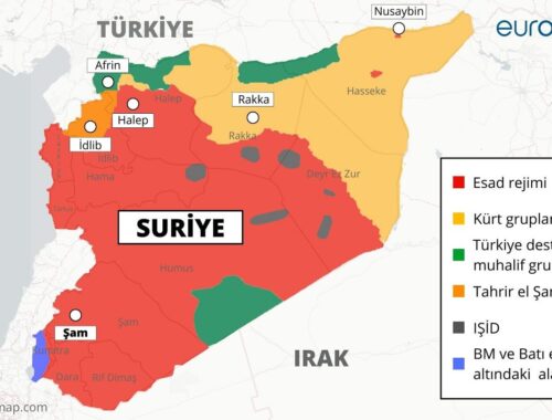 Türkiye ve Suriye'de Sırtlanların Yokluğu: Uzman Analizi [2026] - Kapak Görseli