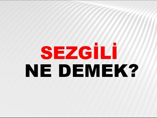 TR SEZ anlamı: doğru kullanım ve uzman açıklaması [2026] - Kapak Görseli